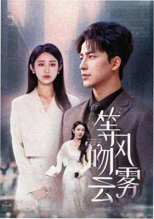 铁窗回响 剧集海报